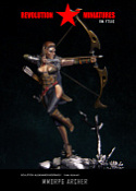 RM-F7510 MMORPG Archer
